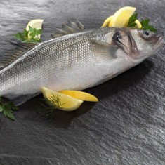 sea bass