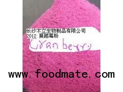 High Quality Natural Cranberry Juice Powder