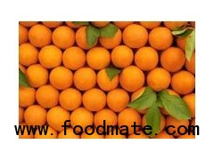 Mandarin kinnow