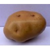 artificial vegatable potato for decoration