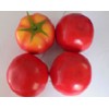 artificial vegatable tomato for decoration