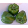 artificial vegatable green capsicum  for decoration