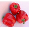 artificial vegatable pimiento  for decoration