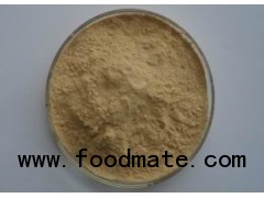 sell Wolfberry Juice Powder