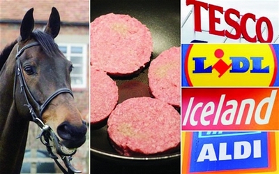 horse meat