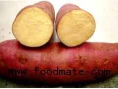 sweet potato