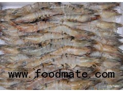 FRESH WATER SHRIMP/PRAWN-HOSO