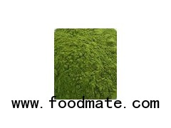 Moringa Powder USDA Organic