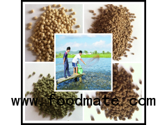 Floating pellet feed production equipment