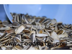 Sunflower Seeds