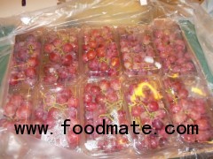 red globe grapes