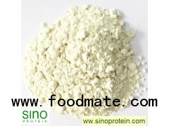 ISP Soy Protein Isolate (SINO2001)