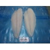 FROZEN PANGASIUS