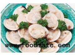 Boiled Half Shell White Clam