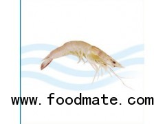 WHITE SHRIMP