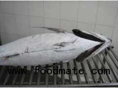 Frozen Yellowfin Tuna Gilled & Gutted