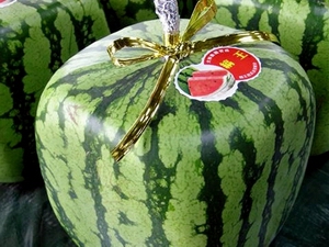 watermelon