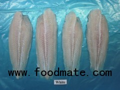 frozen pangasius fish