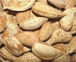 almond