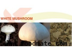 white mushroom