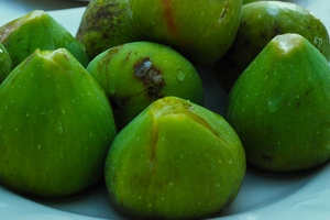 figs