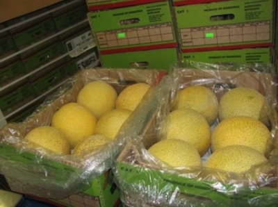 Inspections of Galia melons upon arrival at destination markets 