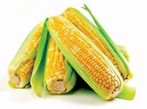 corn