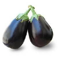 brinjal