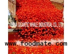 36-38%,28-30% and 30-32%Tomato Paste In 220L Drum