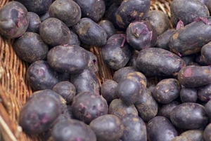 purple potatoes