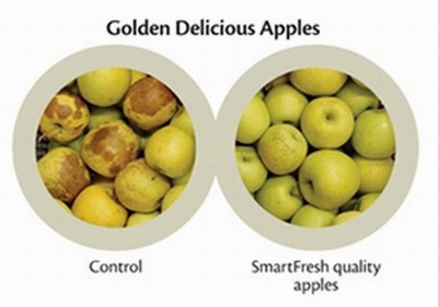 Golden Delicious apples