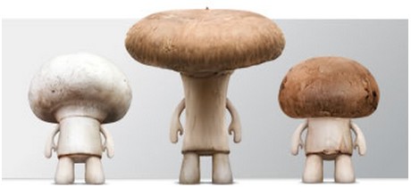 mushrooms