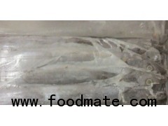 Frozen Ribbonfish From Senegal