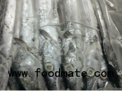 Ribbonfish whole and HGT