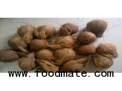 COCONUT PRODUCTS