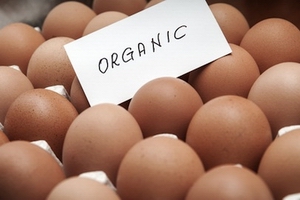 organic eggs