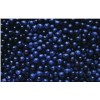 Blueberry P. E (pure-ture raw material)