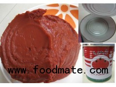 Canned Tomato Paste