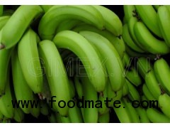 Viet Nam green cavendish banana