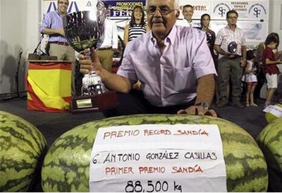 Sandia 