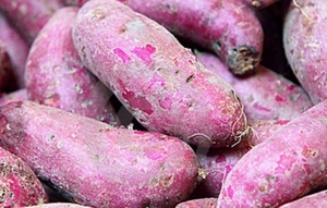 purple sweet potato