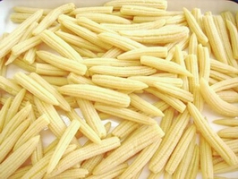 baby  corn