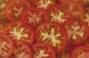 tomato