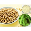 Soybean Extract- Isoflavones