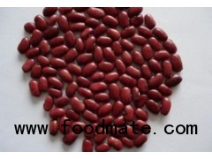 Organic Rajma Red