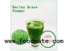 Organic  Pure Barley Grass Powder Company Main Product On sale