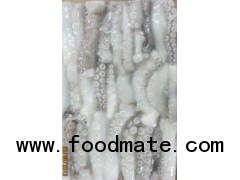 Cut Poulp Squid