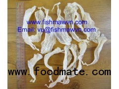 fish maw