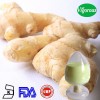 natural GMP factory high quality ginger extract