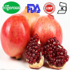 pomegranate extract/pomegranate peel extract/pomegranate bark extract